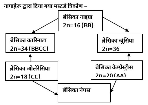 Crop Production Study Note Diagram 1