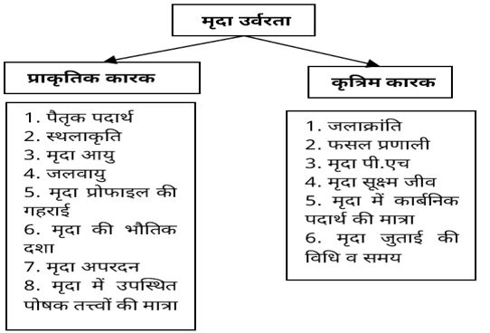 Soil Fertility & Productivity Study Note Diagram 1