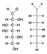 Biomolecules Study Note Diagram 11