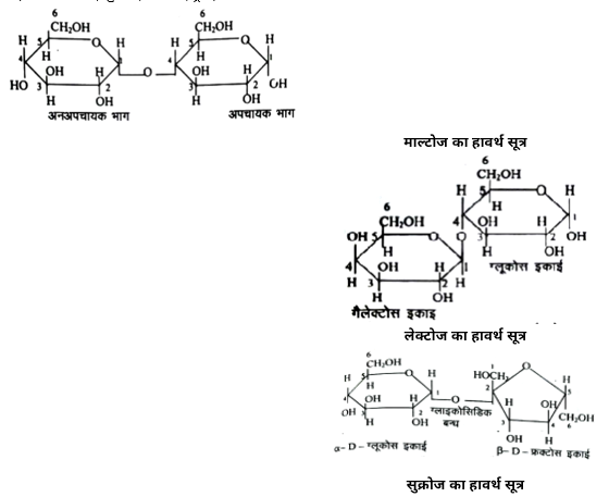 Biomolecules Study Note Diagram 14