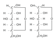 Biomolecules Study Note Diagram 3