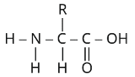 Biomolecules Study Note Diagram 37