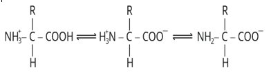 Biomolecules Study Note Diagram 38