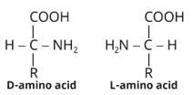 Biomolecules Study Note Diagram 39