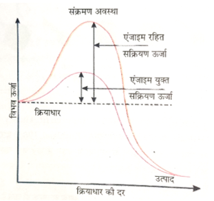 Biomolecules Study Note Diagram 46