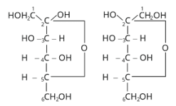 Biomolecules Study Note Diagram 7