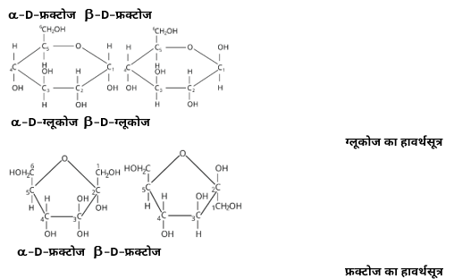 Biomolecules Study Note Diagram 9