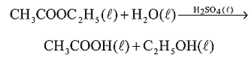 Text, letter

Description automatically generated