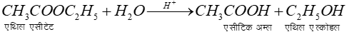 A picture containing table

Description automatically generated