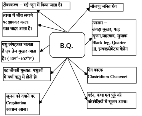 Bacterial Diseases Study Note Diagram 11
