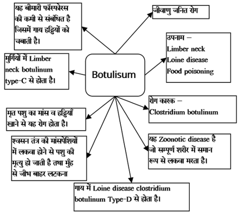 Bacterial Diseases Study Note Diagram 13