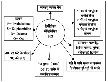 Bacterial Diseases Study Note Diagram 15
