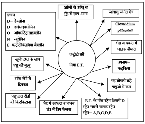 Bacterial Diseases Study Note Diagram 18
