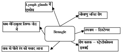Bacterial Diseases Study Note Diagram 19