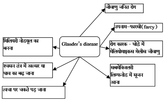Bacterial Diseases Study Note Diagram 21