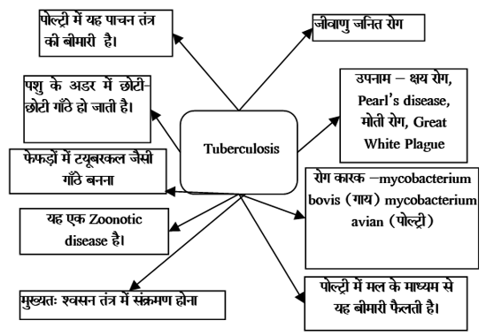 Bacterial Diseases Study Note Diagram 23