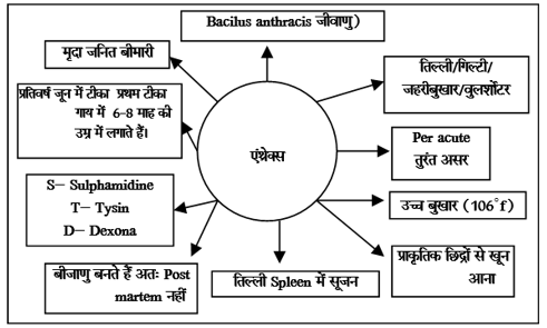 Bacterial Diseases Study Note Diagram 25