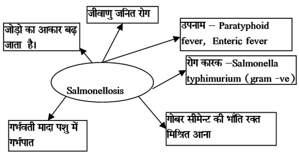 Bacterial Diseases Study Note Diagram 27