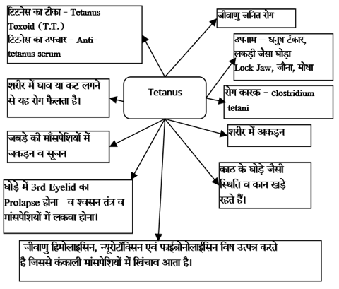 Bacterial Diseases Study Note Diagram 28