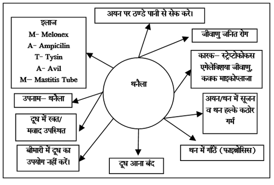 Bacterial Diseases Study Note Diagram 30
