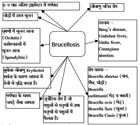 Bacterial Diseases Study Note Diagram 9