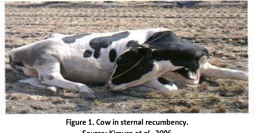 Figure 2 from An Overview on Milk Fever in Dairy Cattle in and | Semantic  Scholar
