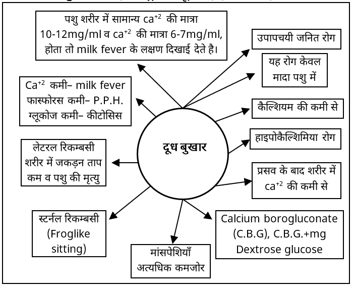 Metabolic Diseases Study Note Diagram 3
