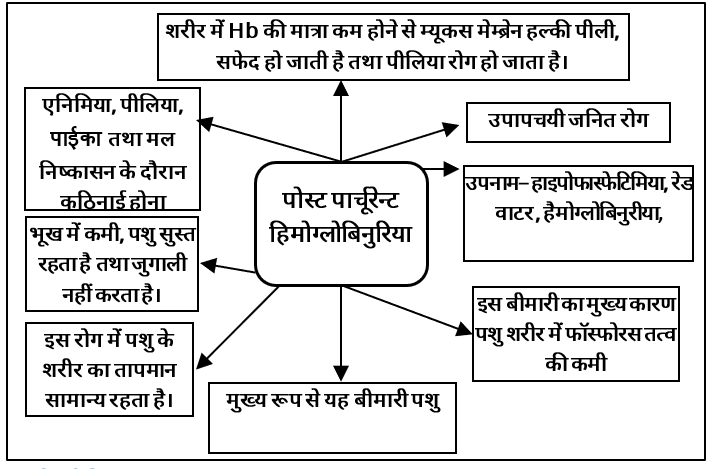 Metabolic Diseases Study Note Diagram 4