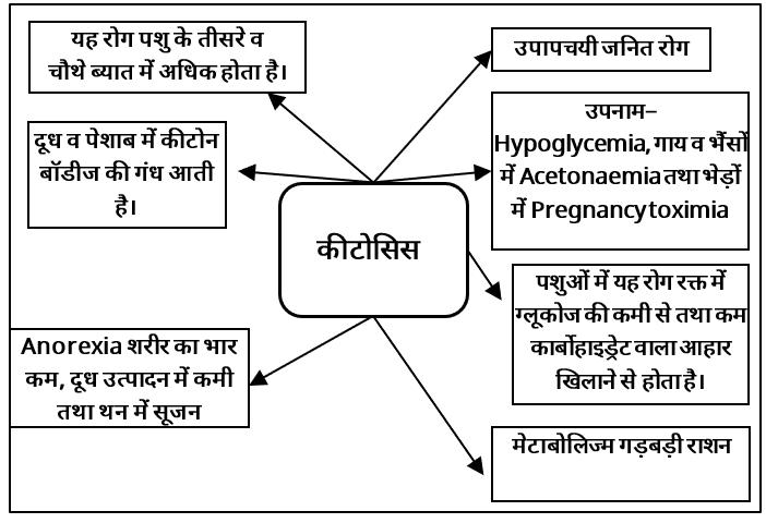 Metabolic Diseases Study Note Diagram 5