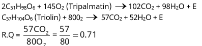 Plant Respiration Study Note Diagram 19