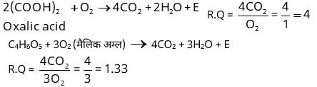 Plant Respiration Study Note Diagram 20