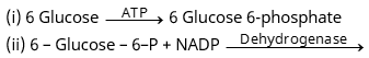 Plant Respiration Study Note Diagram 9