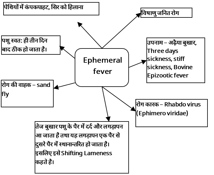 Viral Diseases Study Note Diagram 12