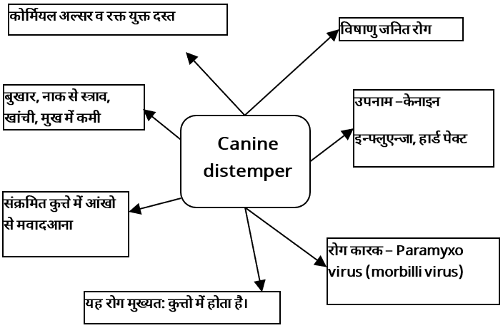 Viral Diseases Study Note Diagram 14