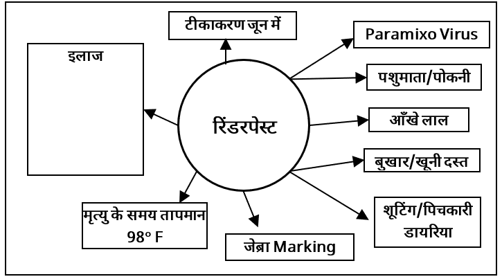 Viral Diseases Study Note Diagram 2
