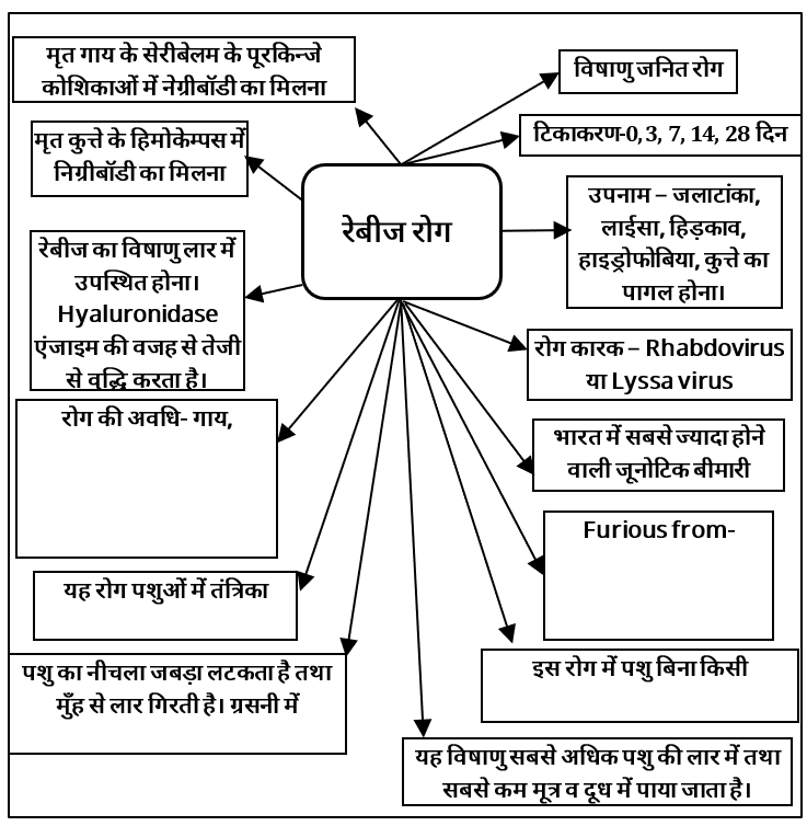 Viral Diseases Study Note Diagram 4