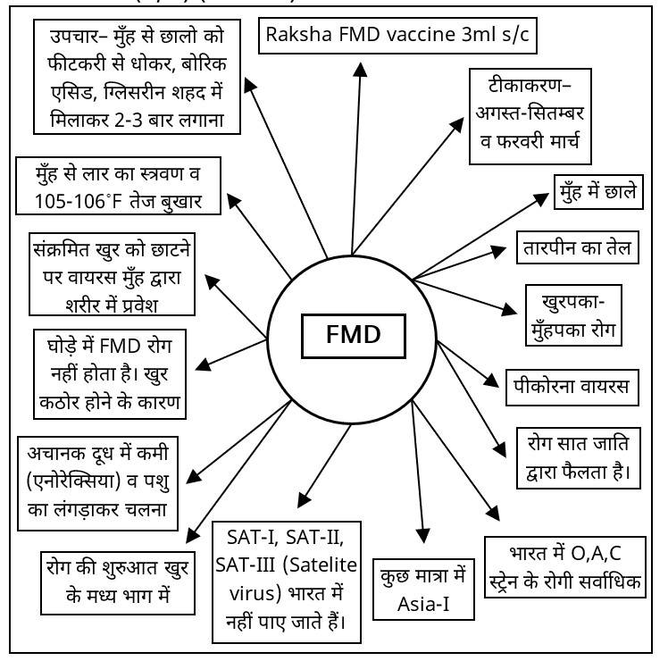 Viral Diseases Study Note Diagram 7