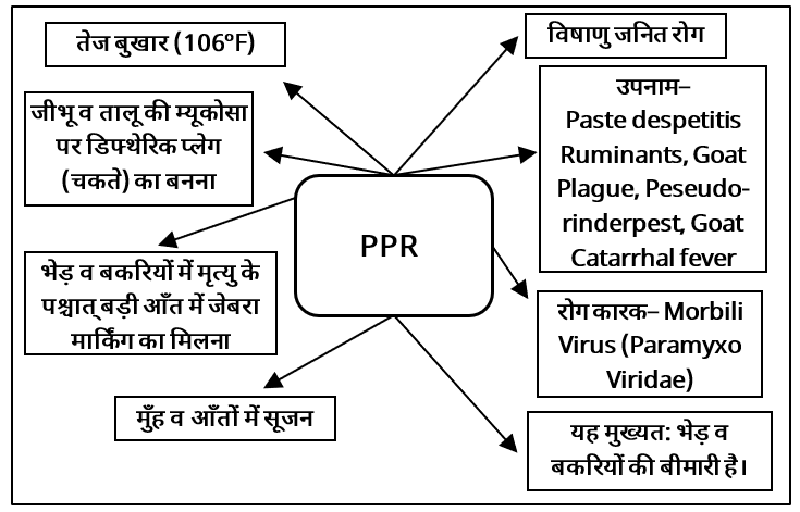 Viral Diseases Study Note Diagram 8