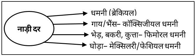 Animal Clinical Parameters Study Note Diagram 1
