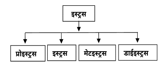 Artificial Insemination Study Note Diagram 3