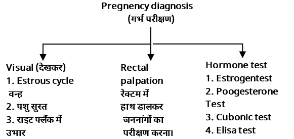 Artificial Insemination Study Note Diagram 4