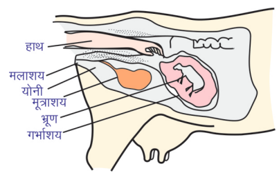 Diagram

Description automatically generated