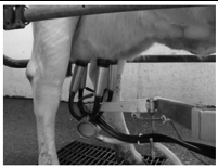 Dairy Science & Technology Study Note Diagram 11