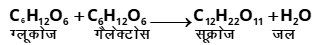 Dairy Science & Technology Study Note Diagram 2