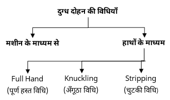 Dairy Science & Technology Study Note Diagram 7