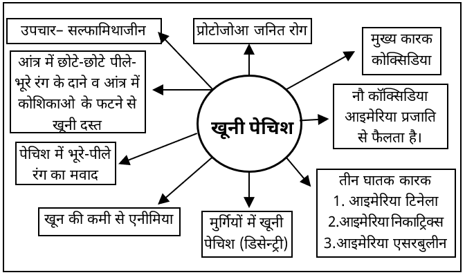 Poultry Diseases Study Note Diagram 6